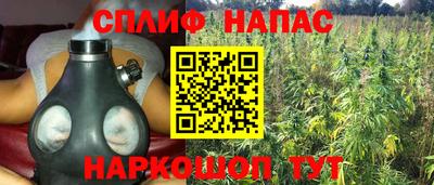 амф Ачхой-Мартан