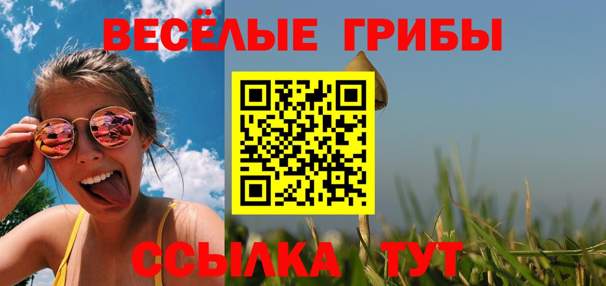 Ахтубинск  Псилоцибиновые грибы GOLDEN TEACHER  Вход с VPN 