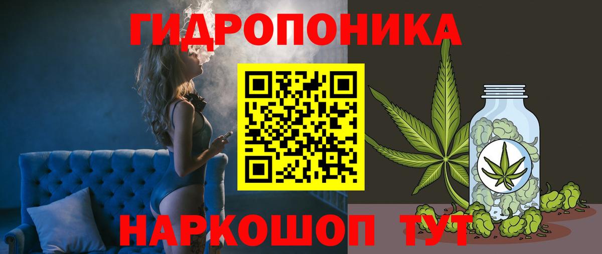 Каннабис планчик  Шишки марихуана сатива  Конопля план  Ахтубинск  Вход с VPN 